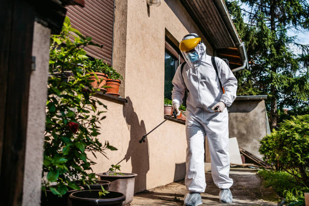 Best Rodent Control Near Me  in Fuquay Varina, NC