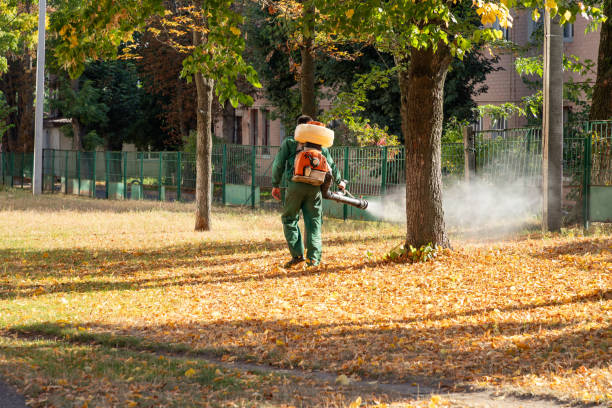 Flea Control Services in Fuquay Varina, NC